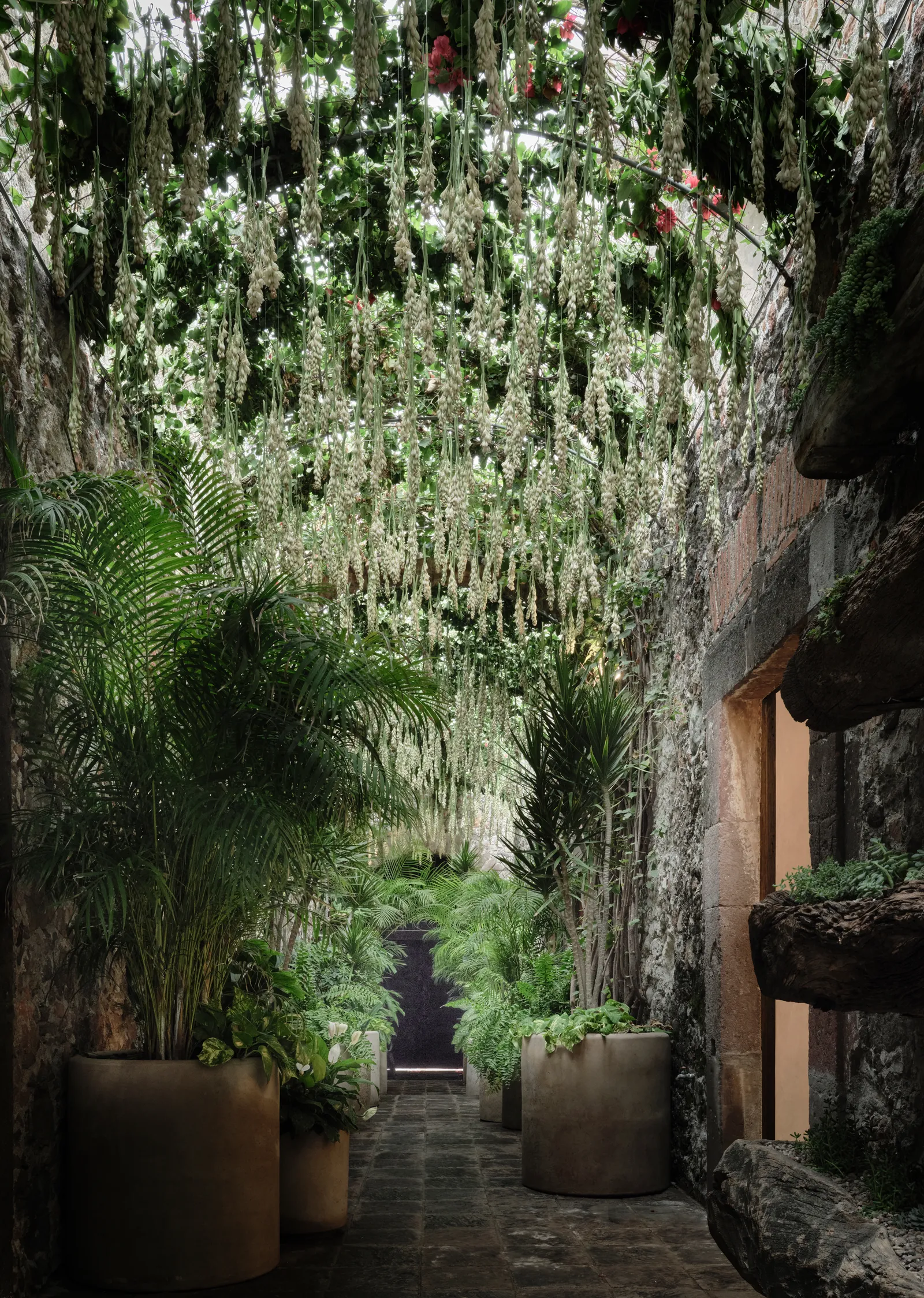 un callejón estrecho con plantas colgantes y plantas en macetas